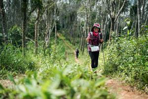 BIB: 
                            <button type="button" onclick="openModal(26294038)" class="btn btn-primary btn-sm float-right btn-popup" data-toggle="modal" data-target=".modal-high-quality">
                        <i class="fas fa-shopping-cart"></i> Add to Cart
                    </button>
                                            <button type="button" onclick="isThisMe(26294038, true)" class="btn btn-success btn-sm float-right btn-popup btn-isme hidden" data-toggle="tooltip" data-placement="bottom" title="นี่คือรูปของคุณใช่ไหม คลิกที่นี่เพื่อเอาเข้าอัลบั้ม">
                        <i class="fas fa-plus"></i> Add to album
                    </button>
                    <button type="button" onclick="isThisMe(26294038, false)" class="btn btn-warning btn-sm float-right btn-popup btn-isnotme hidden">
                        <i class="fas fa-ban"></i> Remove from album
                    </button>